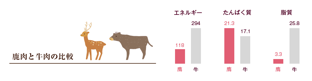 鹿肉と牛肉の栄養比較