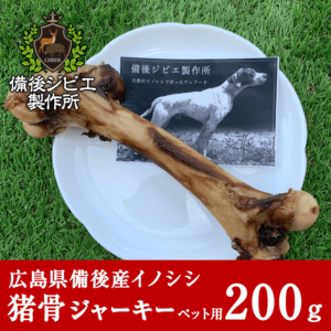 boar_pet_bone_500